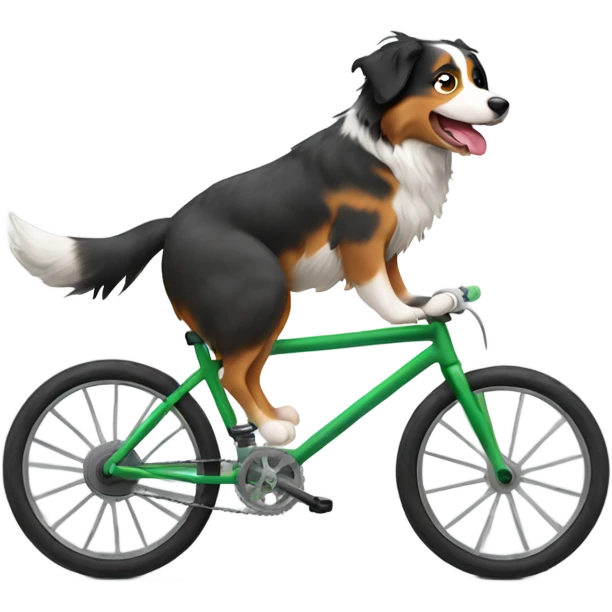 Australian shepherd riding bike emoji