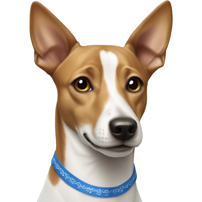  Tan and white Basenji wearing blue bandana emoji