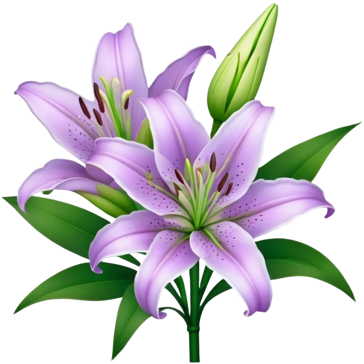 bouquet Light Purple Lily, luxuriant, stem, leaf, bud emoji