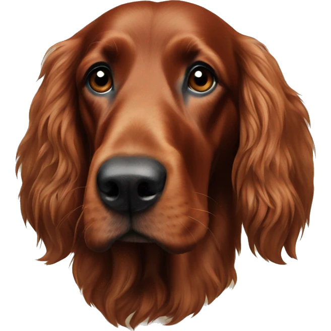 Irish setter named Louie  emoji