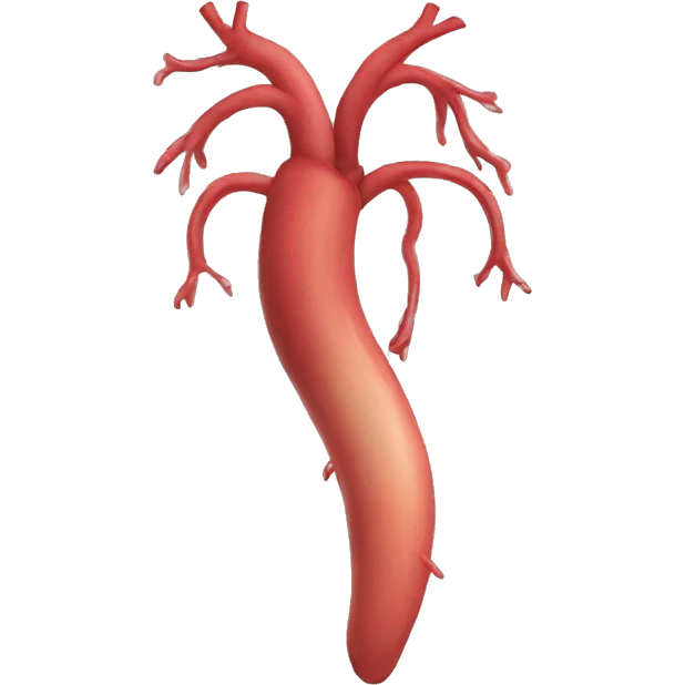 aortic arch emoji