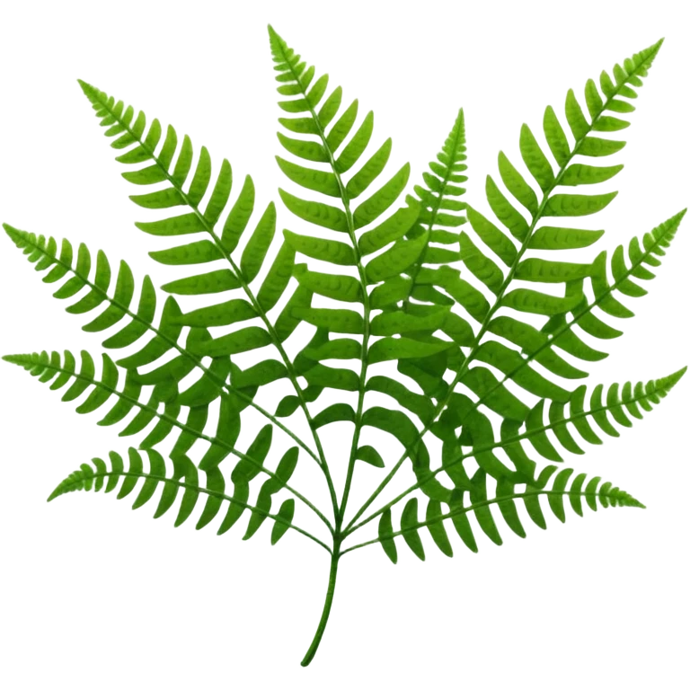 Fern emoji
