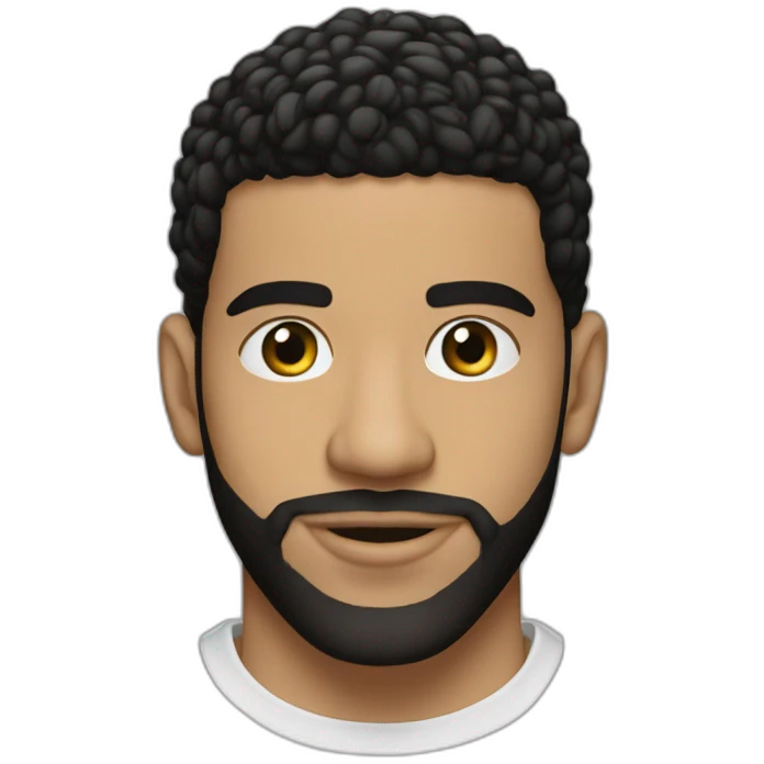 twin Aubrey Drake Grahams emoji