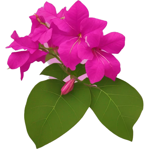 bougainvillea flower emoji