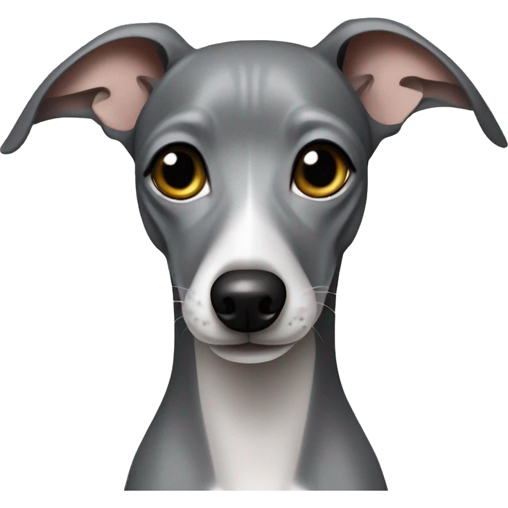 Grey Italian greyhound with bows emoji