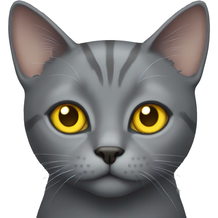 Grey cat with yellow eyes  emoji