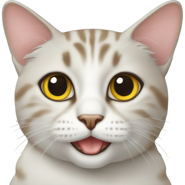 Cat emoji