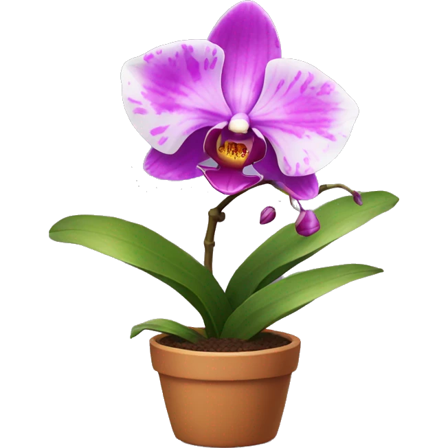 An orchid in a pot emoji