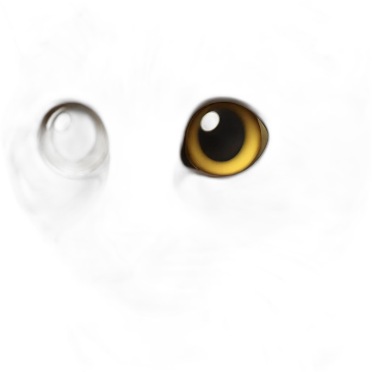 Chat tout mignon avec de gros yeux emoji
