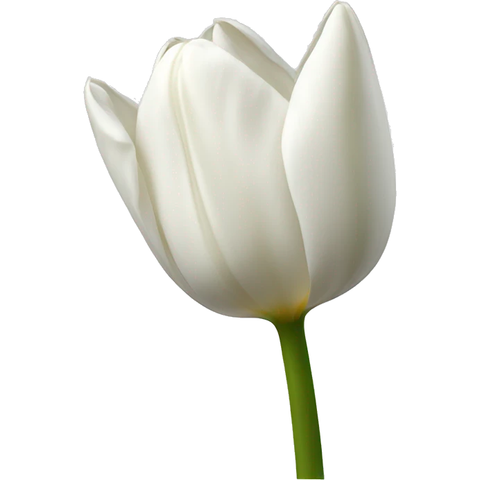 White tulip  emoji