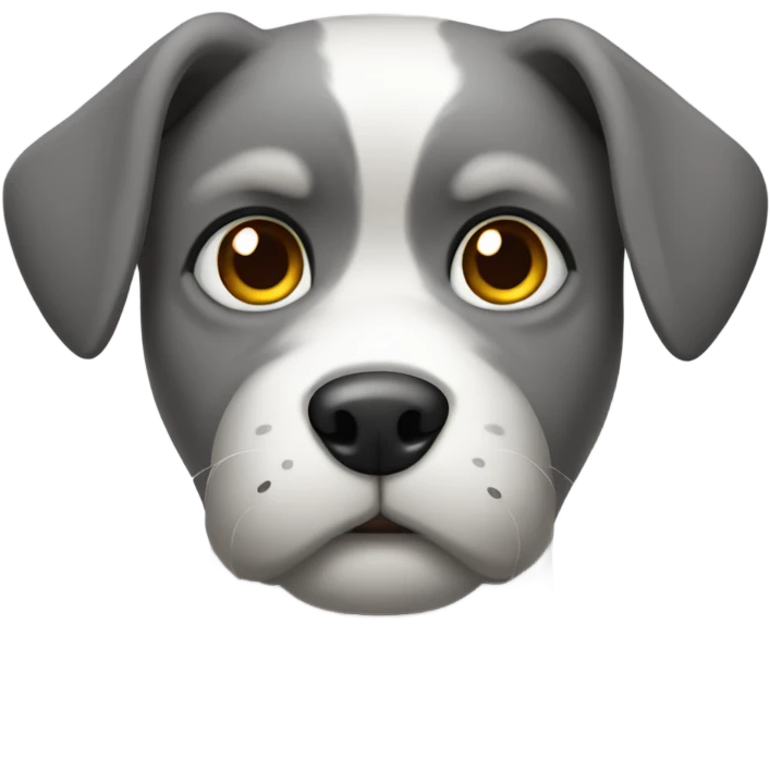 dog gazing at the viewer with grey fur emoji