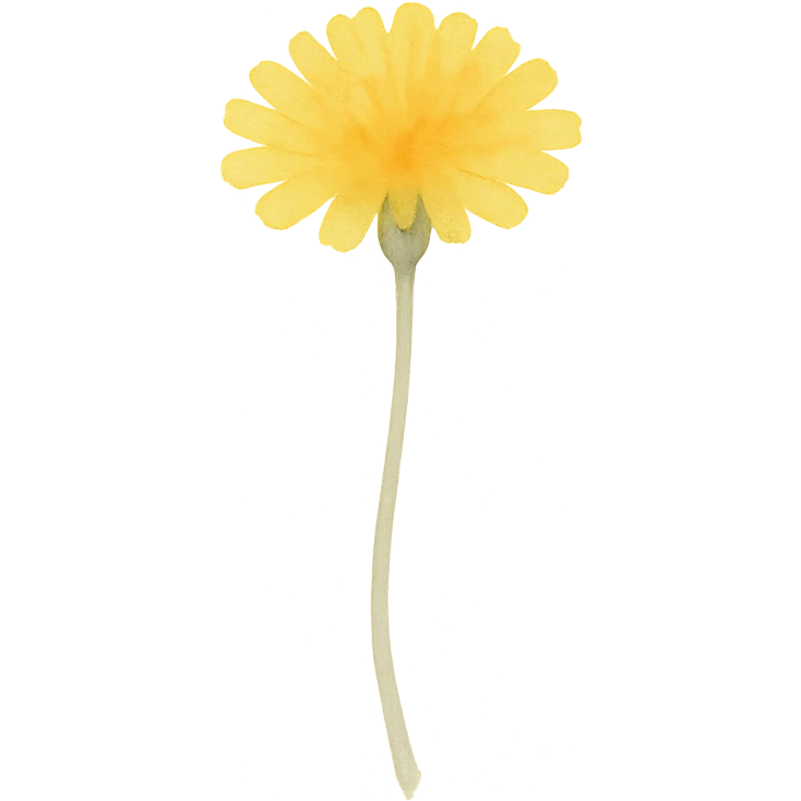 dandelion flower, vibrant yellow, fine stem emoji