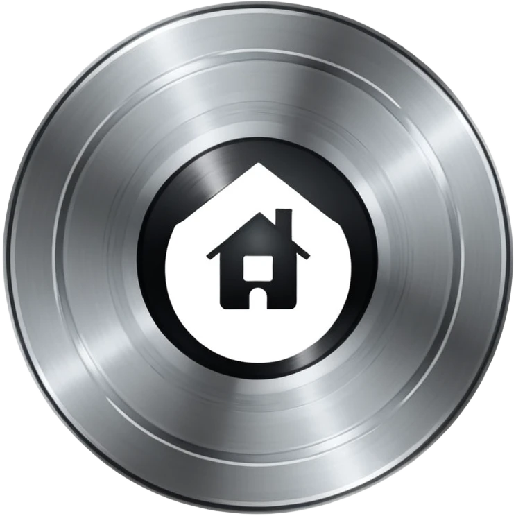 platinum vinyl with a house logo in the middle emoji