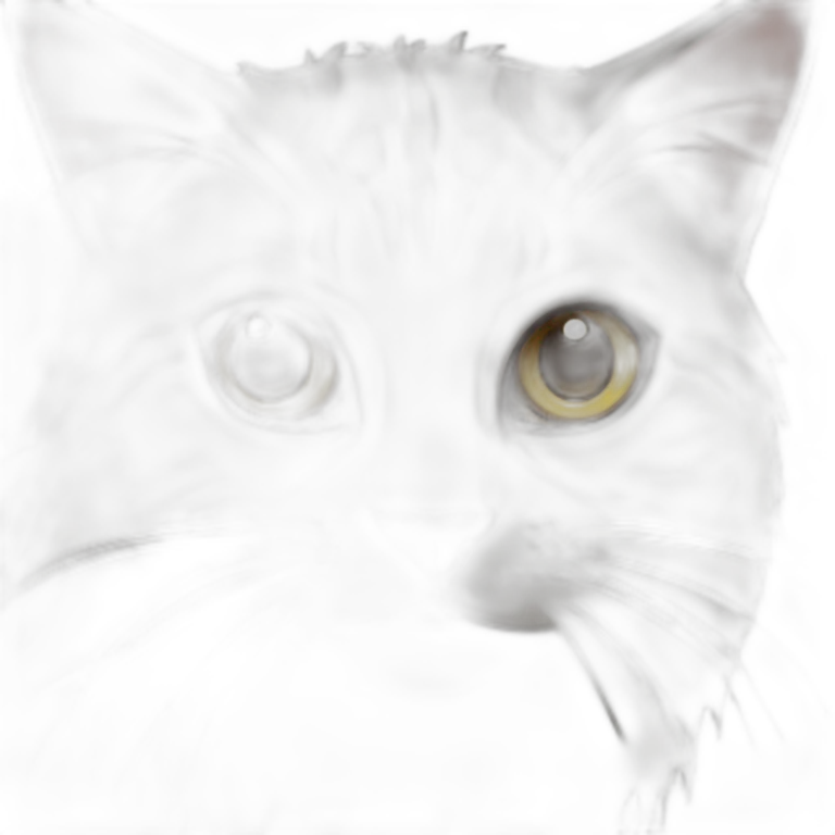 spider-cat emoji