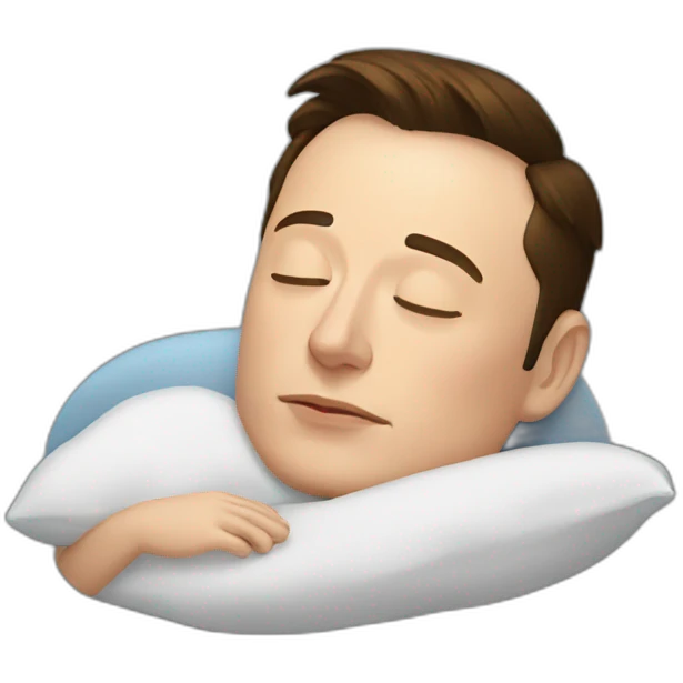 Elon musk sleeping emoji