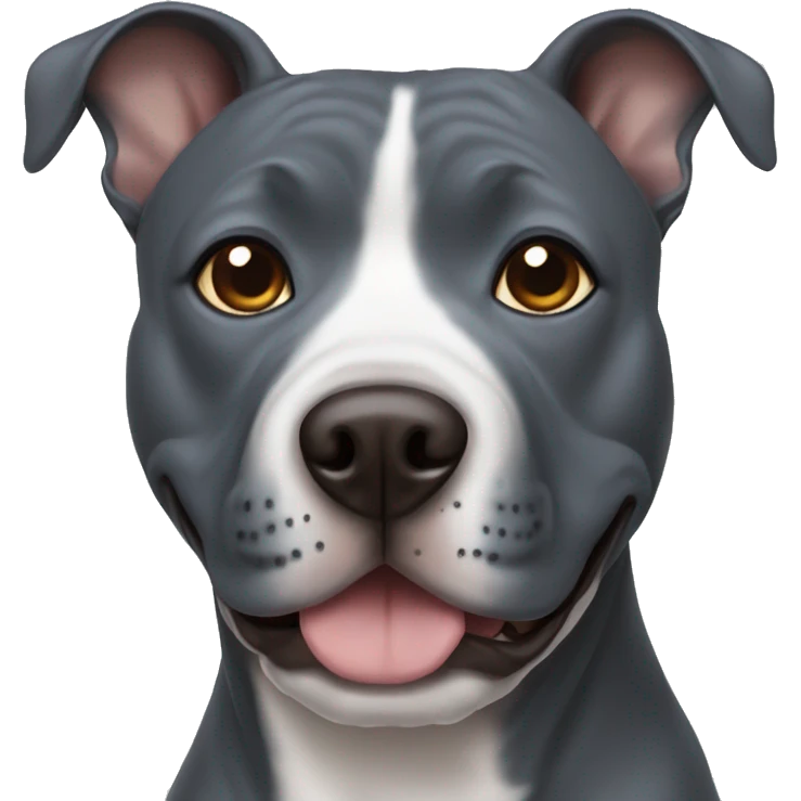Blue staffy dogs with brown eyes  emoji