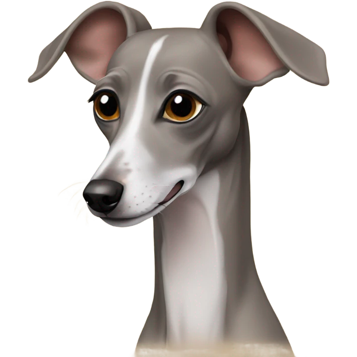 Italian greyhound  emoji