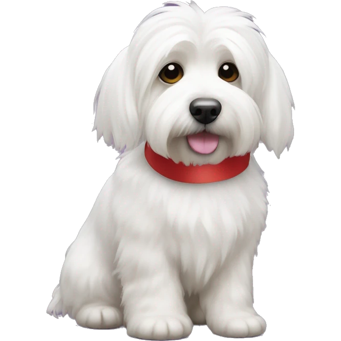 white coton de tulear with a ribbon on its head emoji