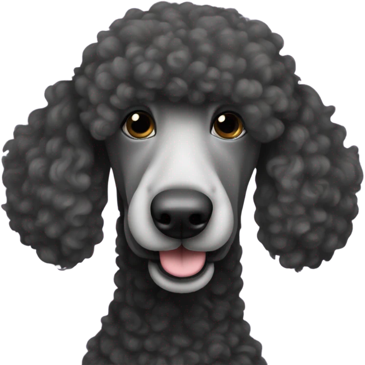 Standard poodle black emoji