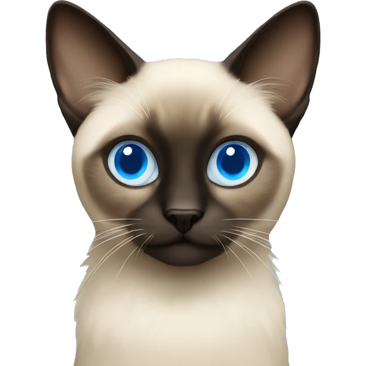 fluffy siamese with blue eyes emoji