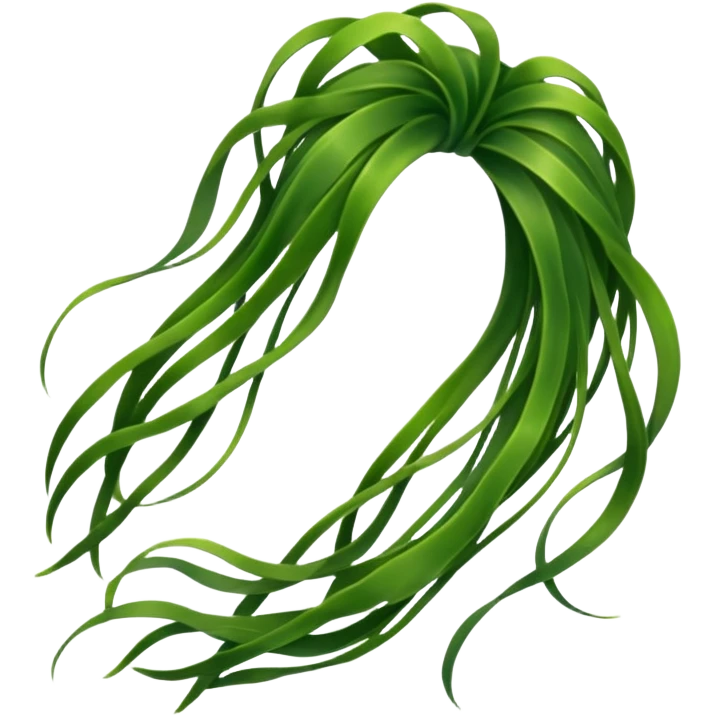 algues marine  emoji