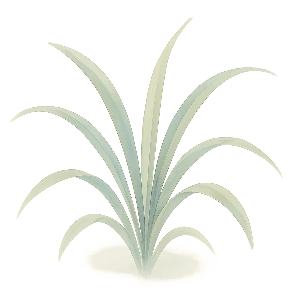 a small cluster of spider plant leaves, watercolor style, delicate brush strokes, soft colors emoji