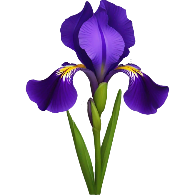 Iris flowers  emoji
