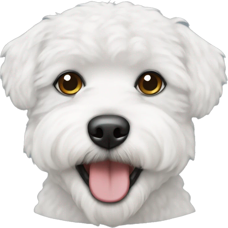 Bichon frise emoji
