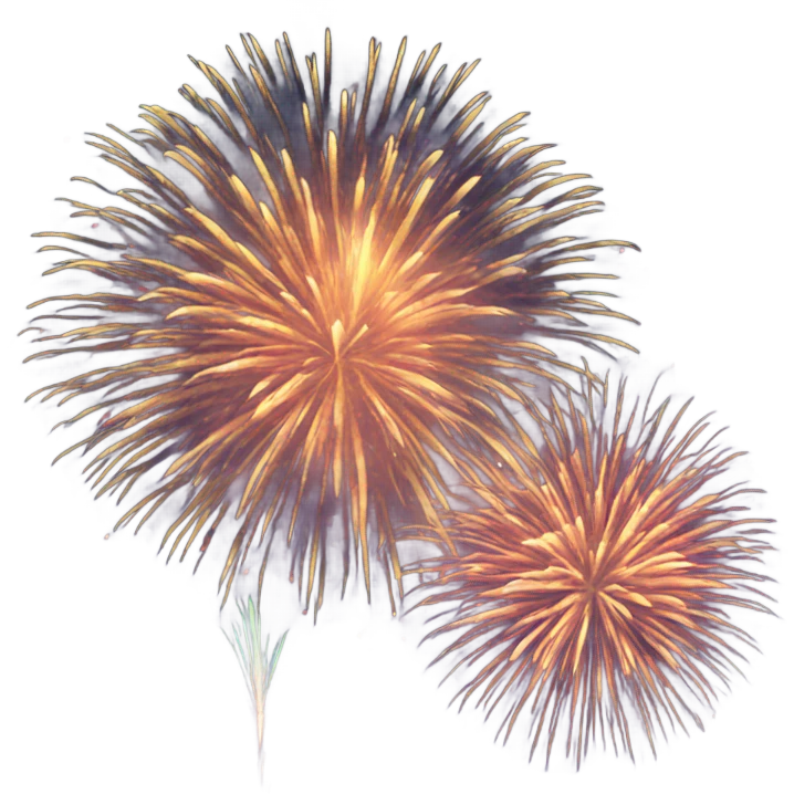 New Year fireworks  emoji