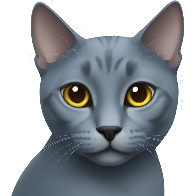 cat russian blue emoji