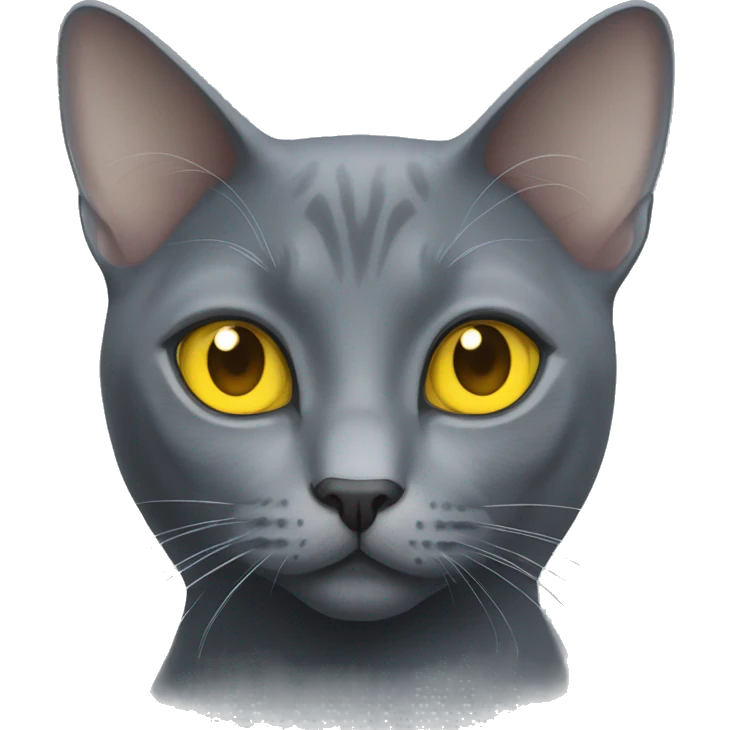 russian blue cat with yellow eyes  emoji