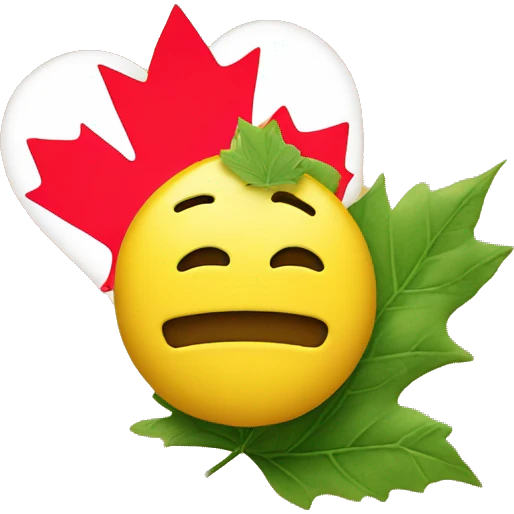 a classic yellow emoji face that in love but instead of hearts it has Canada leafs  emoji
