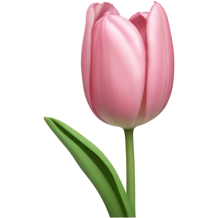 Light pink tulip emoji
