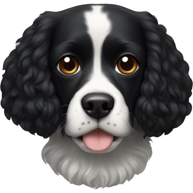 Small completely black king spaniel with black fur on his whole face and white fur on chest emoji