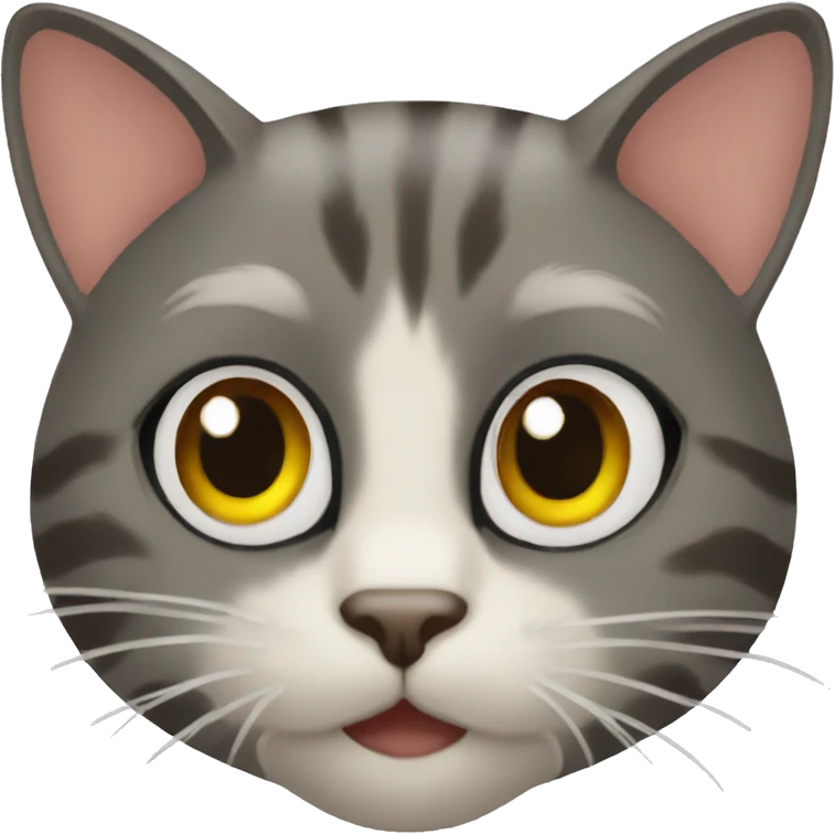 cat is ry emoji