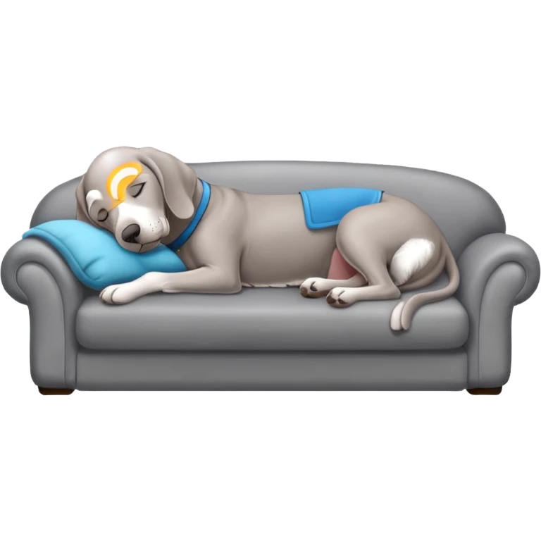 Gray Weimaraner sleeping on couch  emoji