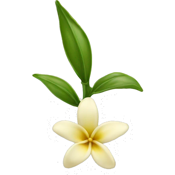 vanilla bean with flower emoji