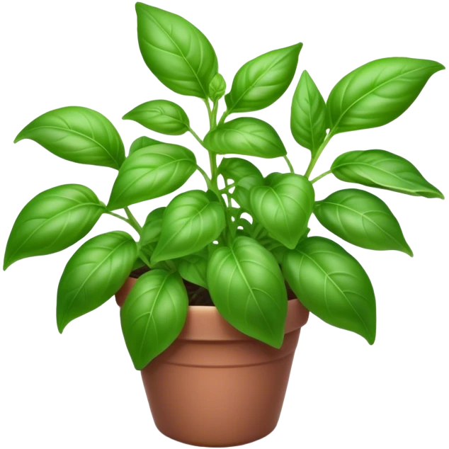 Cinematic Realistic Basil Emoji, Lush and fragrant, with vibrant green leaves that release a fresh, herbal aroma. The soft, glossy leaves are delicately arranged along slender stems, exuding vitality and flavor. Soft glowing outline, capturing the essence of freshness, growth, and aromatic delight in a blossoming basil plant! emoji