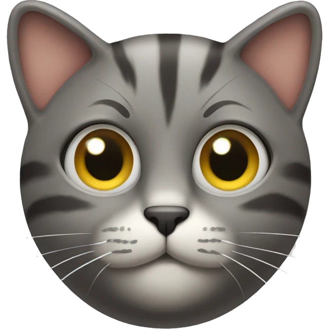 a cat that is a photographer that is counting and is rich  emoji