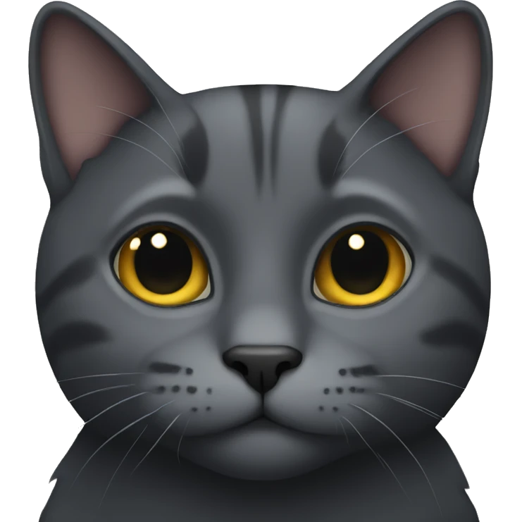 dark grey cat  emoji