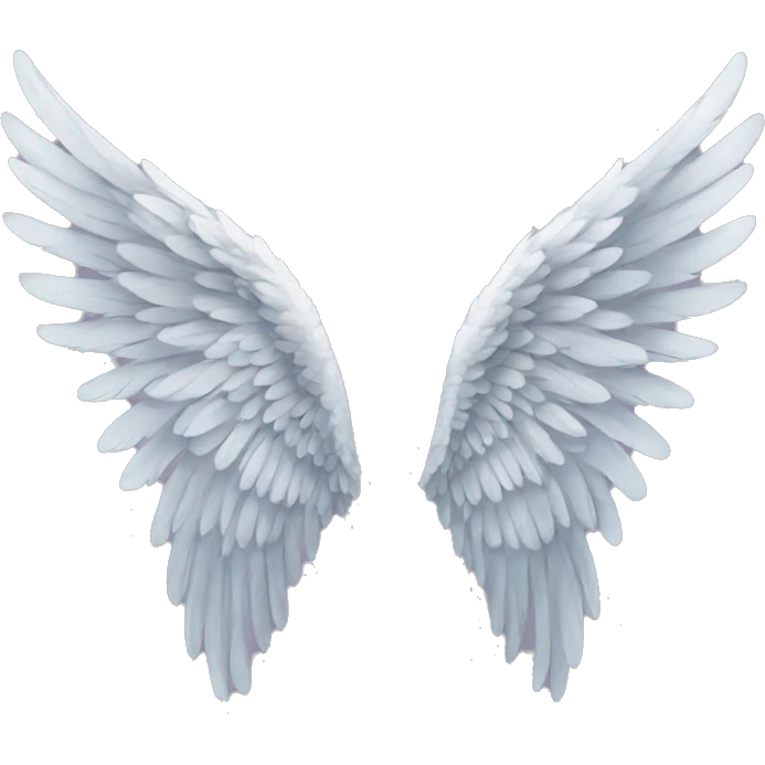 Detailed Angel wings  emoji