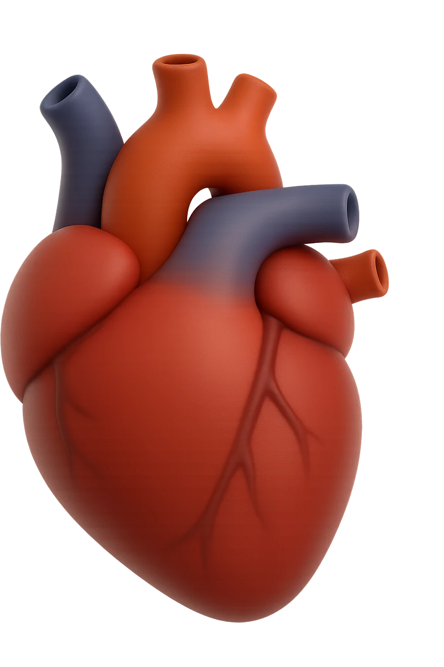 emoji 3d stile iphone di cuore anatomico umano emoji