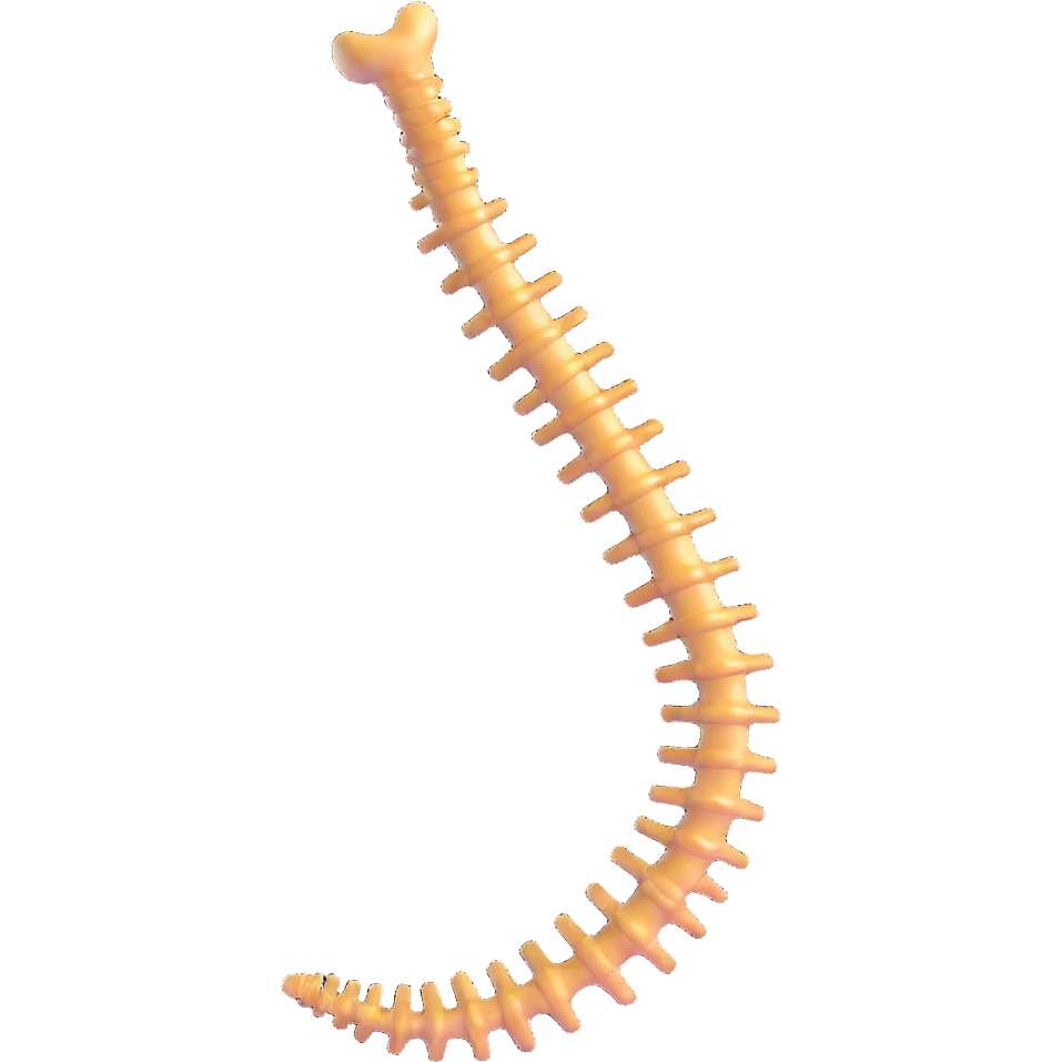 human spine, anatomical, floating emoji