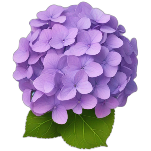 Hydrangea  emoji