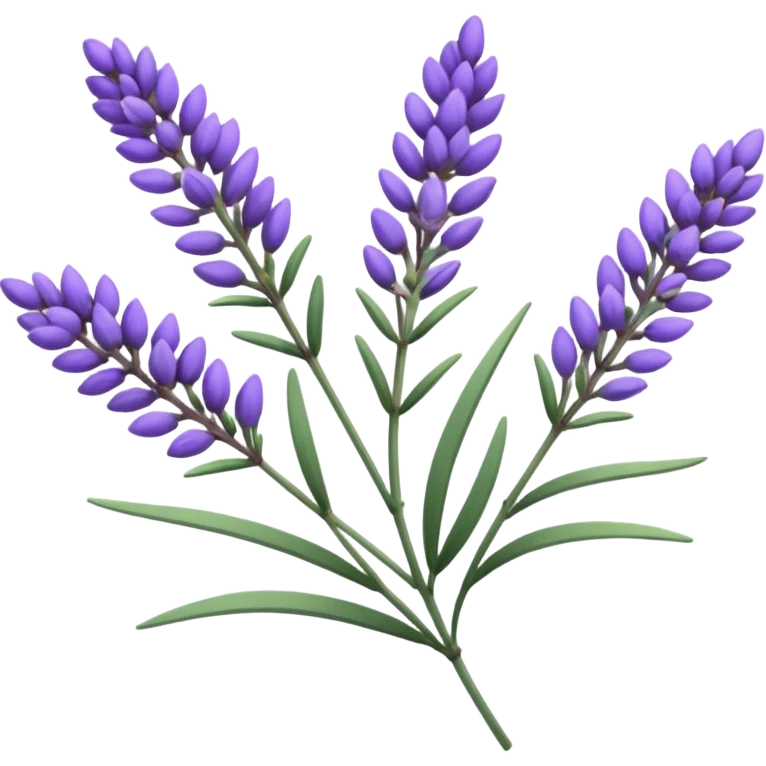 Lavender emoji