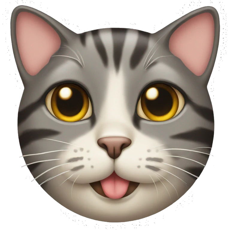 Cat kissed on the forehead  emoji