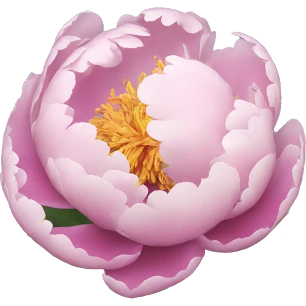 Peonies  emoji