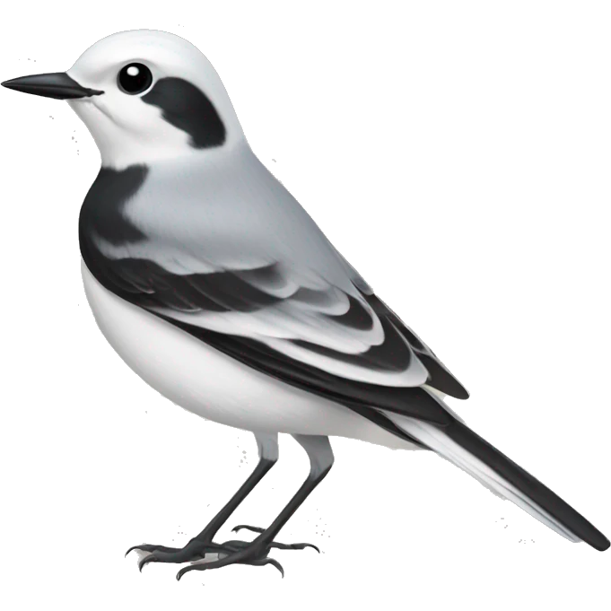 White wagtail emoji