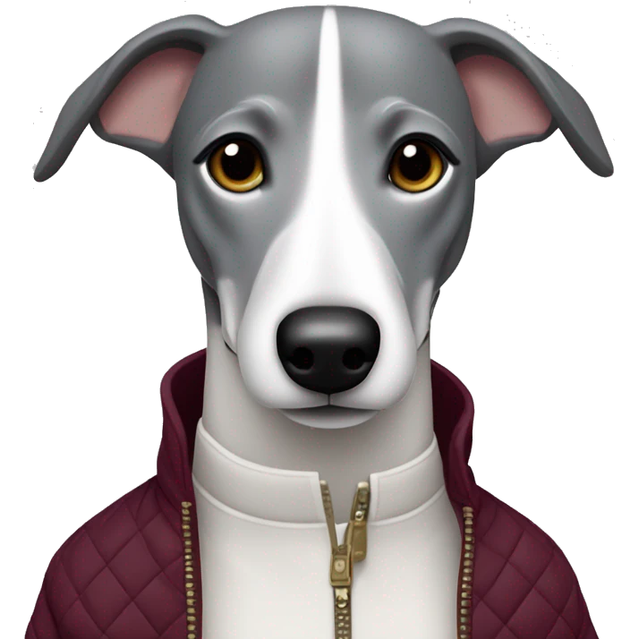 Grey and white whippet in burgundy quilted jacket emoji