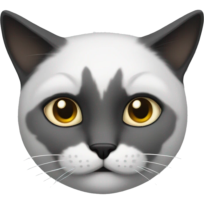 Новый год черная кошка emoji